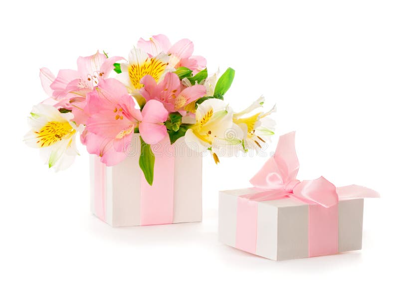 Ramo hermoso de Alstroemeria rosado en una caja de regalo imagen de archivo Ramo hermoso de Alstroemeria rosado en una caja de regalo imagen de archivo