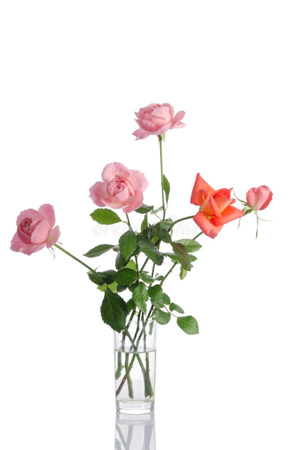 Ramo hermoso de rosas en un florero de cristal imagen de archivo libre de regalías Ramo hermoso de rosas en un florero de cristal imagen de archivo libre de regalías