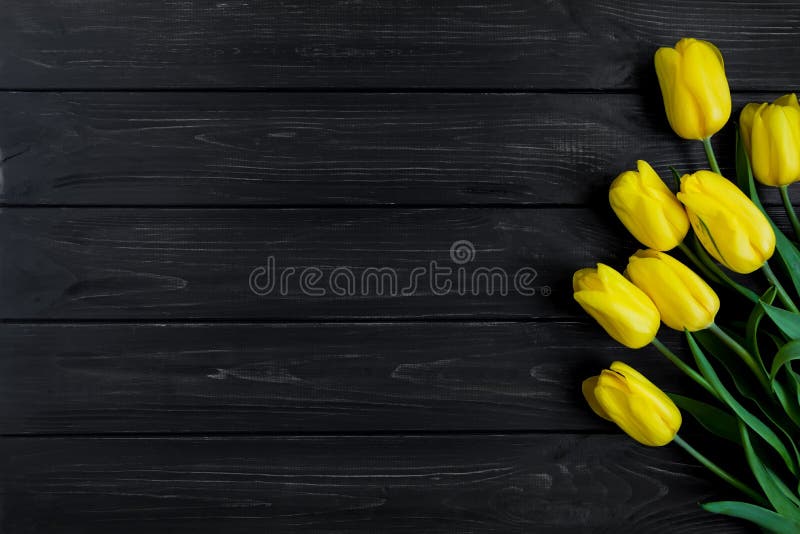 Ramo hermoso de tulipanes amarillos adentro en la tabla Visión superior, endecha plana fotografía de archivo Ramo hermoso de tulipanes amarillos adentro en la tabla Visión superior, endecha plana fotografía de archivo