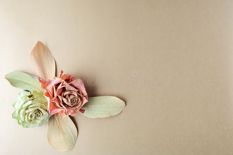 Ramo Seco De La Composición Del Vintage Con Las Rosas En Fondo Del Oro Contexto útil Para Las Invitaciones De Boda Y El Otro Día Imagen de archivo - Imagen de ramo, Ramo Seco De La Composición Del Vintage Con Las Rosas En Fondo Del Oro Contexto útil Para Las Invitaciones De Boda Y El Otro Día Imagen de archivo - Imagen de ramo,