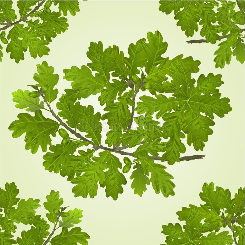 Ramo sem emenda da textura do carvalho com vetor do fundo natural das bolotas ilustração do vetor Ramo sem emenda da textura do carvalho com vetor do fundo natural das bolotas ilustração do vetor