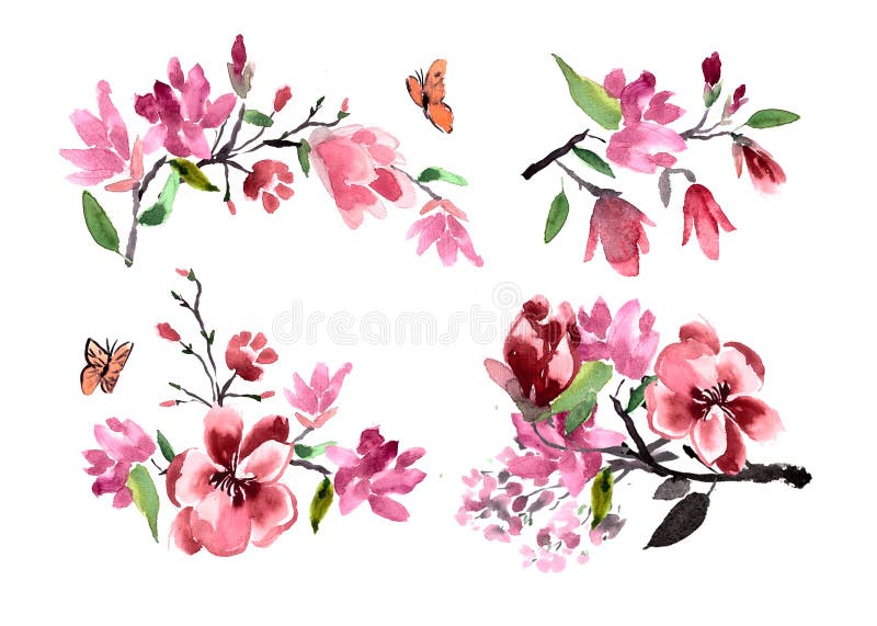 Ramos de acuarela de la magnolia de las flores pintada stock de ilustración Ramos de acuarela de la magnolia de las flores pintada stock de ilustración