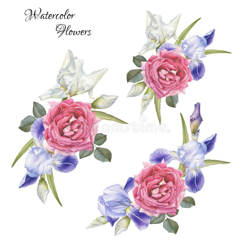 Ramos de flores Diafragmas y rosas libre illustration Ramos de flores Diafragmas y rosas libre illustration