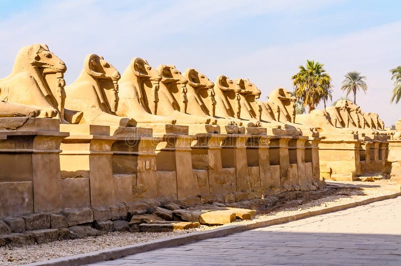 Rams in the Karnak temple in Luxor, Egypt