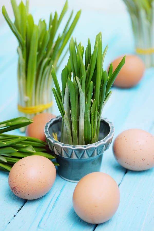 Ramson Sprouts Eggs Stock Photos Free & RoyaltyFree Stock Photos