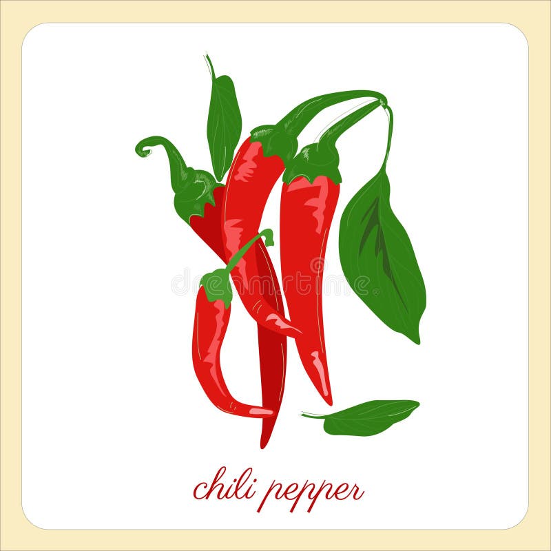 Ramură de peper pentru chili vectoriali stock illustration