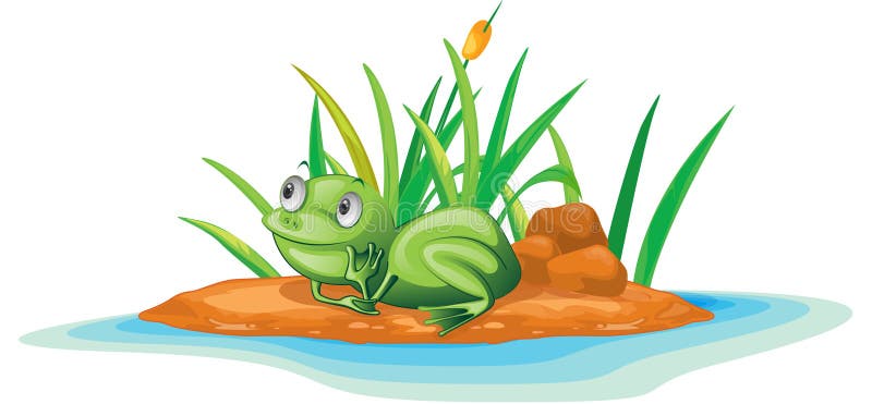 Rana ilustración del vector Rana ilustración del vector