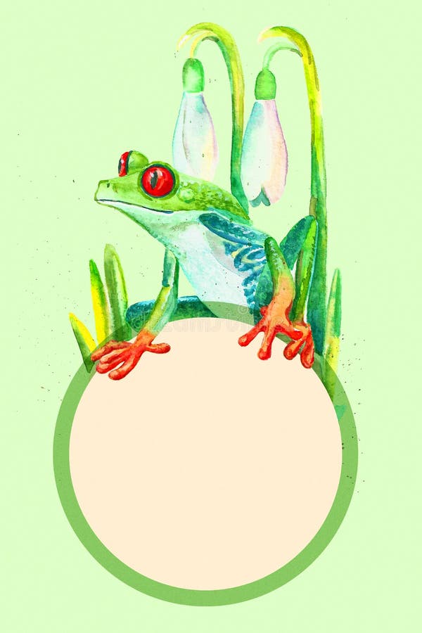 Rana arbórea de ojos enrojecidos y azafranes, ejemplo de la acuarela de la plantilla de la cubierta del copia-espacio de la prima ilustración del vector Rana arbórea de ojos enrojecidos y azafranes, ejemplo de la acuarela de la plantilla de la cubierta del copia-espacio de la prima ilustración del vector