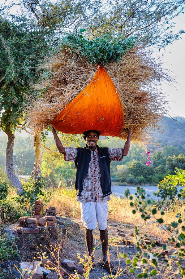 Ranakpur, India - Jan 02, 2020: Indian man carries hay on his head. Ranakpur, India - Jan 02, 2020: Indian man carries hay on his head