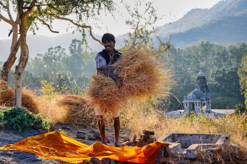 Ranakpur, India - Jan 02, 2020: Indian man carries hay in Ranakpur, Rajasthan in India. Ranakpur, India - Jan 02, 2020: Indian man carries hay in Ranakpur, Rajasthan in India