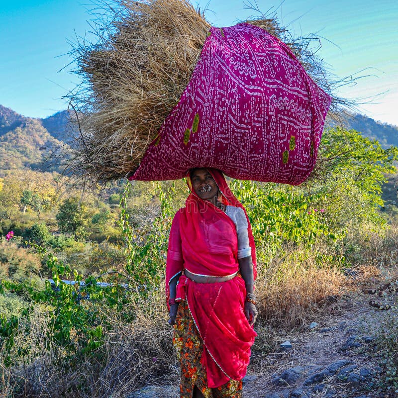 Ranakpur, India - Jan 02, 2020: Indian woman carries hay on her head. Ranakpur, India - Jan 02, 2020: Indian woman carries hay on her head.