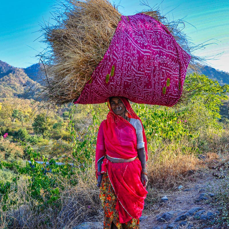 Ranakpur, India - Jan 02, 2020: Indian woman carries hay on her head. Ranakpur, India - Jan 02, 2020: Indian woman carries hay on her head