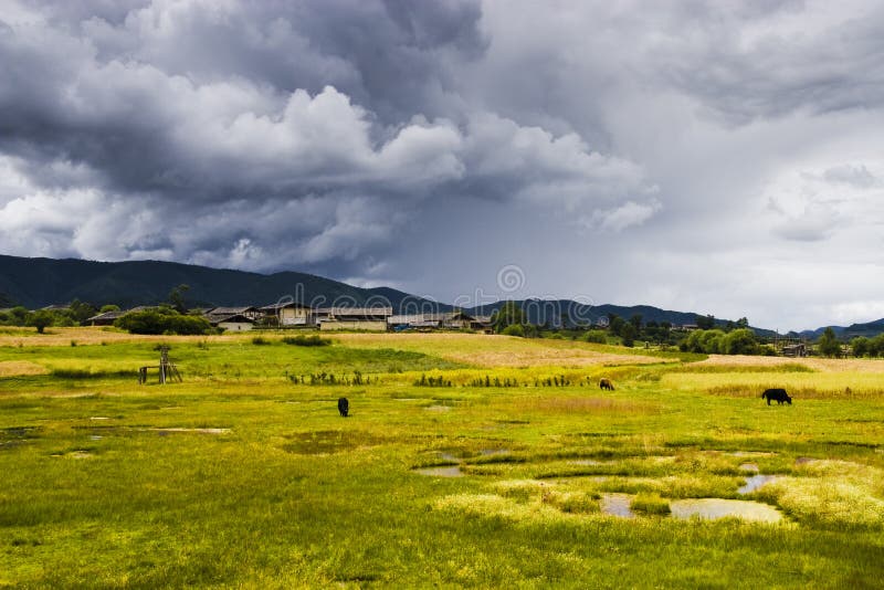 Ranch royalty free stock images