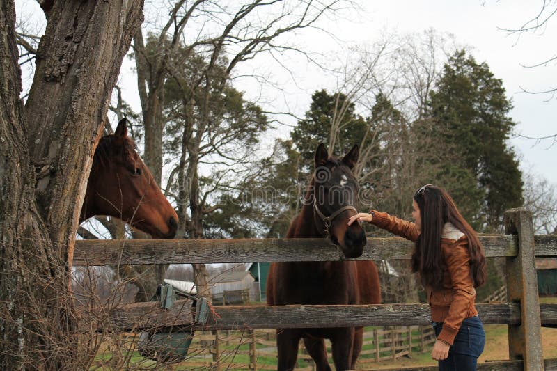 Rancho del caballo en Virginia foto de archivo libre de regalías Rancho del caballo en Virginia foto de archivo libre de regalías
