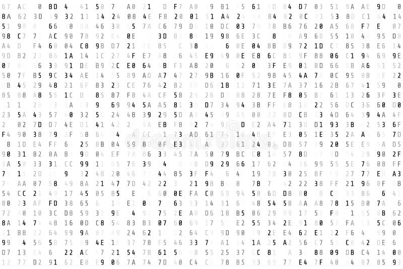 Random hex code stream. Matrix background. Vector illustration isolated on white background vector illustration.