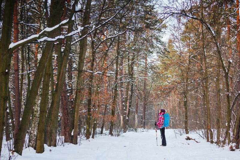 Randonneur dans le sport, l'inspiration et le voyage de forêt d'hiver photo libre de droits Randonneur dans le sport, l'inspiration et le voyage de forêt d'hiver photo libre de droits