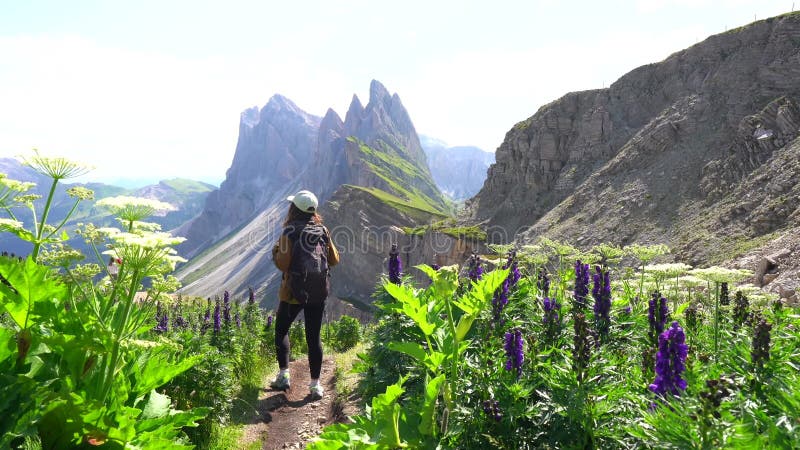 Randonneuse admirant les sommets majestueux de la seceda dans les dolomites italiennes banque de vidéos