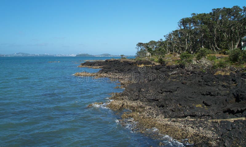 Rangitoto island