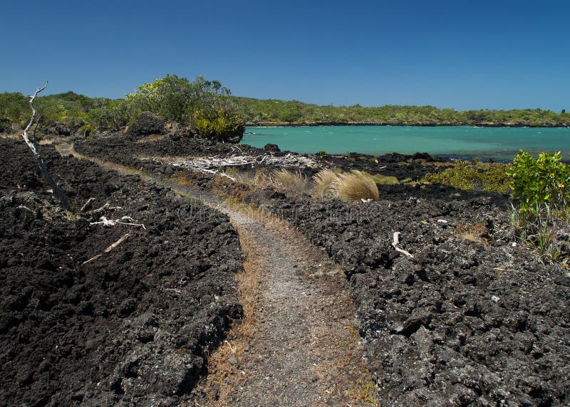 Rangitoto island