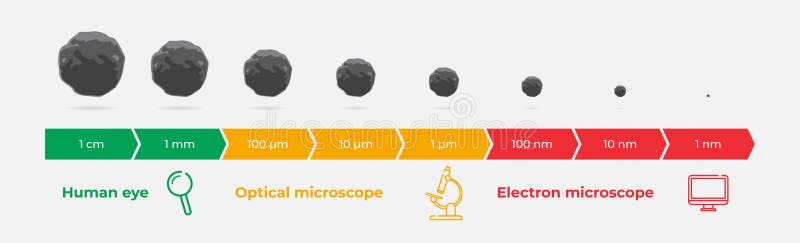 Particle size range. Dirt under magnification. Vector illustration. Particle size range. Dirt under magnification. Vector illustration.