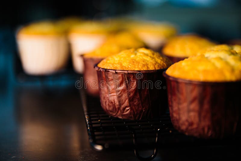Rangée de plan rapproché des petits pains de myrtille photo stock Rangée de plan rapproché des petits pains de myrtille photo stock