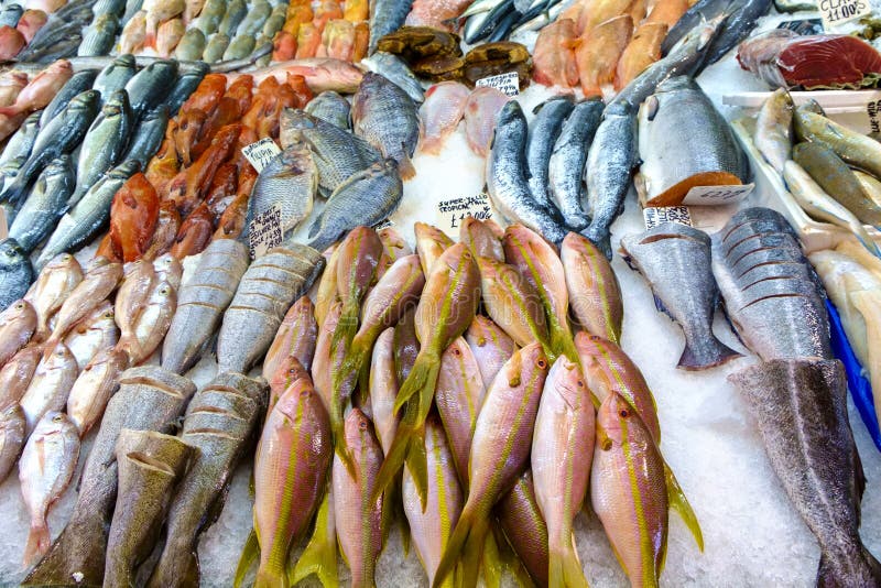 Download Rangées Du Divers Poisson Cru Sur La Glace à Vendre Photo stock - Image du glace, lignes: 76079784