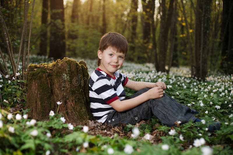 Rapaz pequeno na floresta no campo de flores fotos de stock Rapaz pequeno na floresta no campo de flores fotos de stock