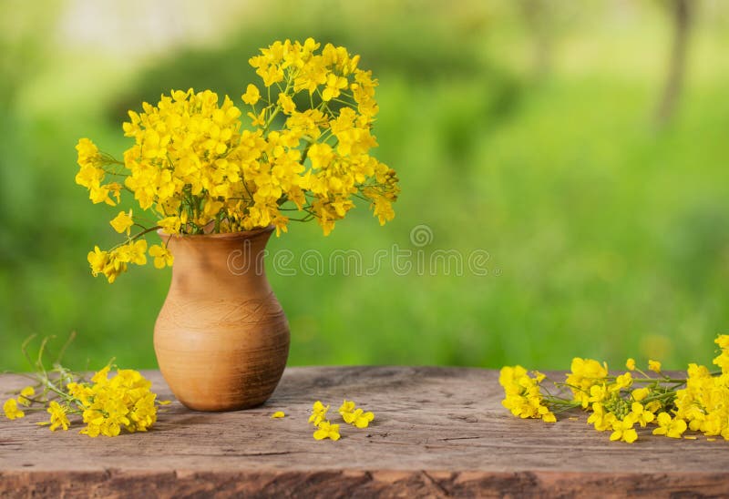 Flowers in jug outdoor stock image. Image of bottle 123719963