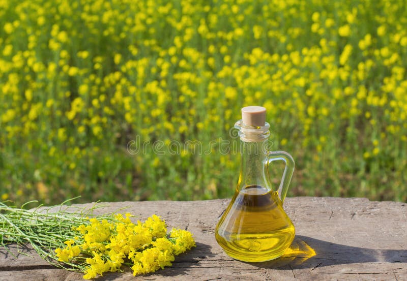 Rapeseed Oil Canola in Field Stock Image Image of bunch, group 96180741