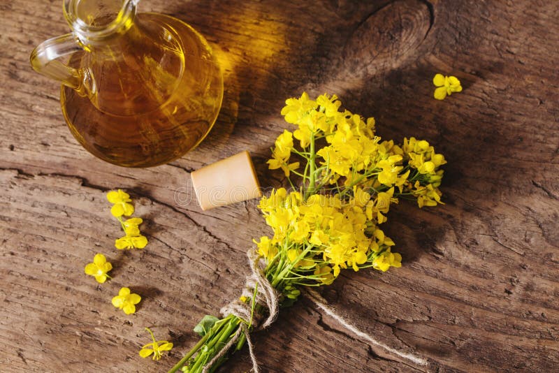 Canola Oil & Rapeseed Flowers Stock Image Image of freshness, food