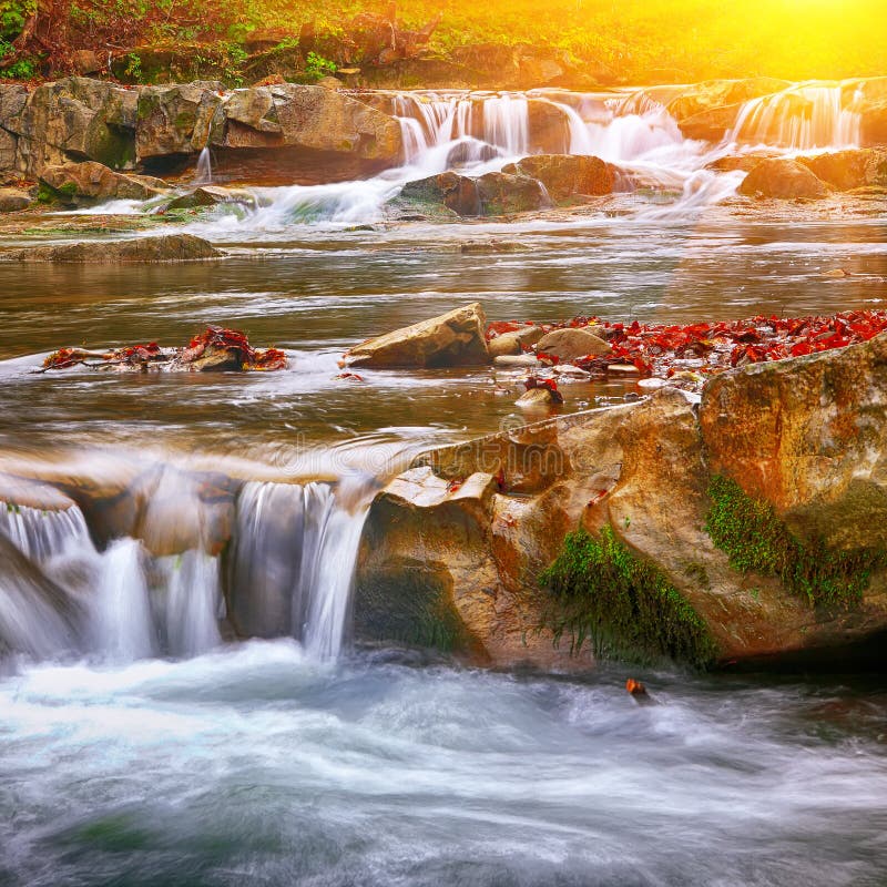 Rapid Mountain River In Autumn At Sunset Stock Photo Image Of Flowing