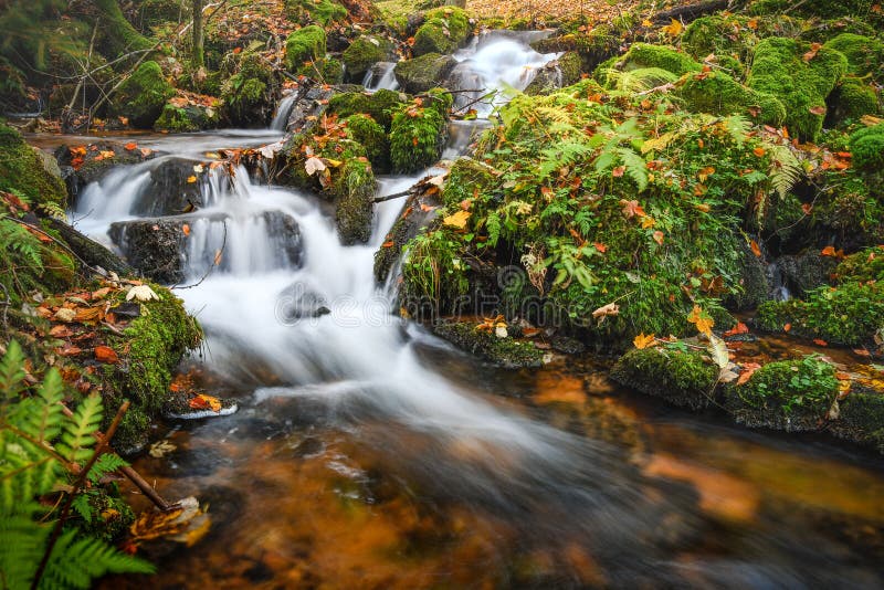 Flows Downhill Stock Photos Free & RoyaltyFree Stock Photos from