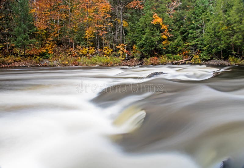 Rapide sur la rivière d'Oxtongue au-dessus des automnes en lambeaux photographie stock libre de droits Rapide sur la rivière d'Oxtongue au-dessus des automnes en lambeaux photographie stock libre de droits