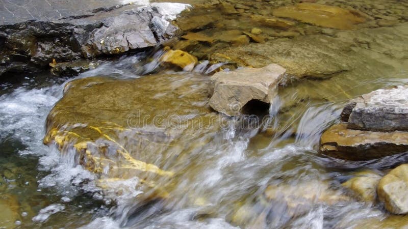 Rapidi del fiume Whitewater Fiume Rocky Collezione di chiusura Monti Carpathian