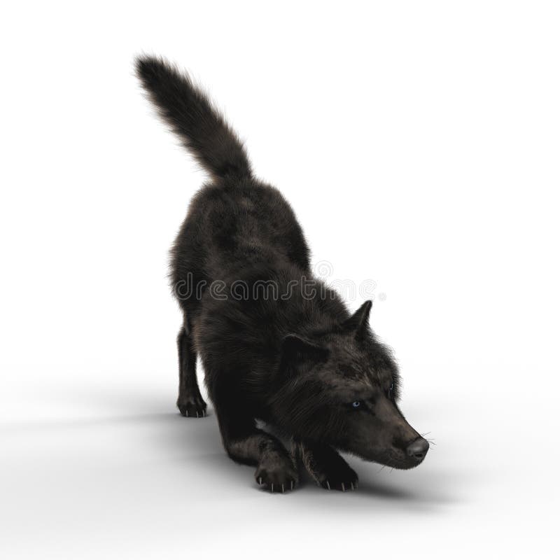 Rappresentazione del Wolf Crouching nero illustrazione vettoriale