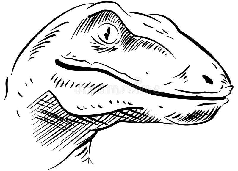 Sketch of the Dinosaur Head Stock Illustration Illustration of