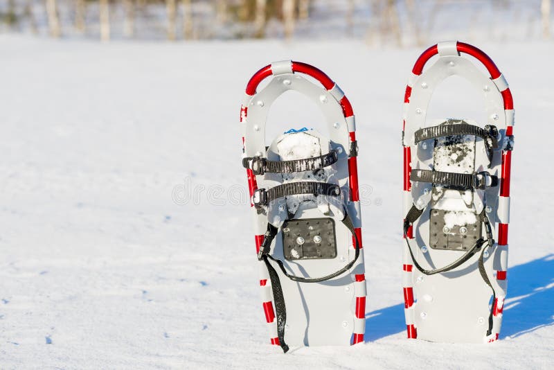 Raquettes dans la neige image libre de droits Raquettes dans la neige image libre de droits