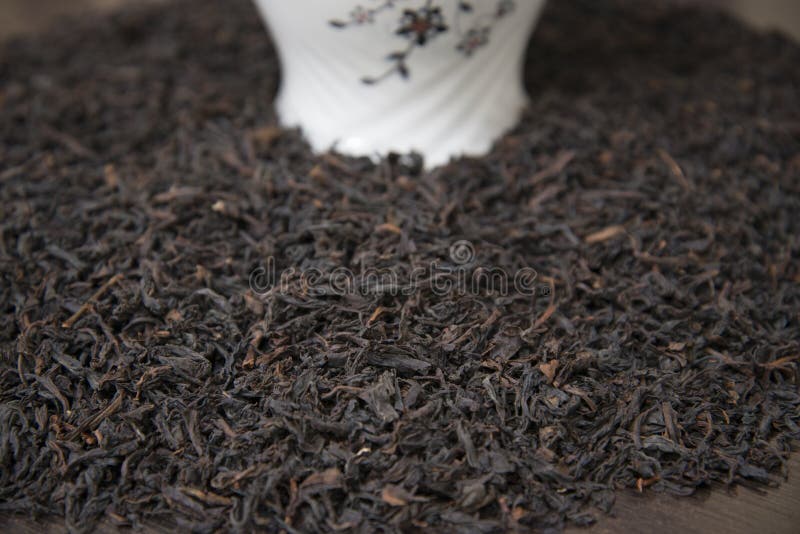 Rare Red Tea from Gardens of Nilgiri. Stock Image Image of nilgiri