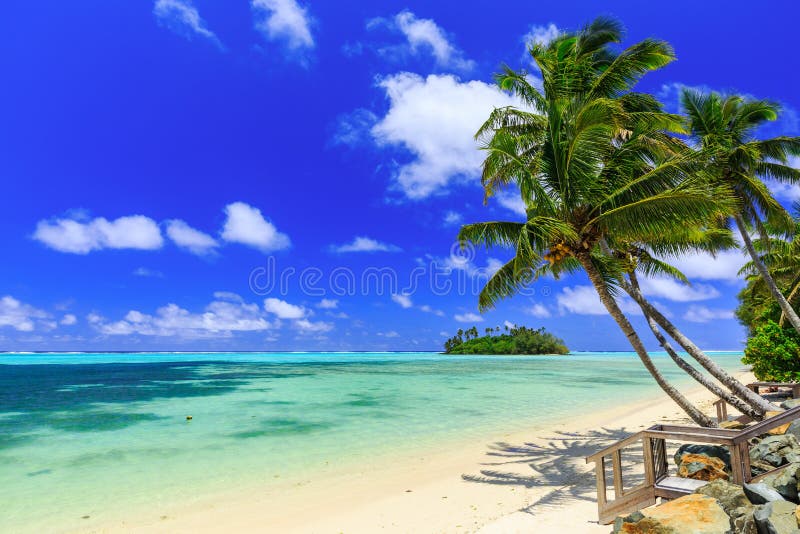 Beach with palm trees over tropical water at Muri lagoon, Rarotonga, Cook Islands. Beach with palm trees over tropical water at Muri lagoon, Rarotonga, Cook Islands
