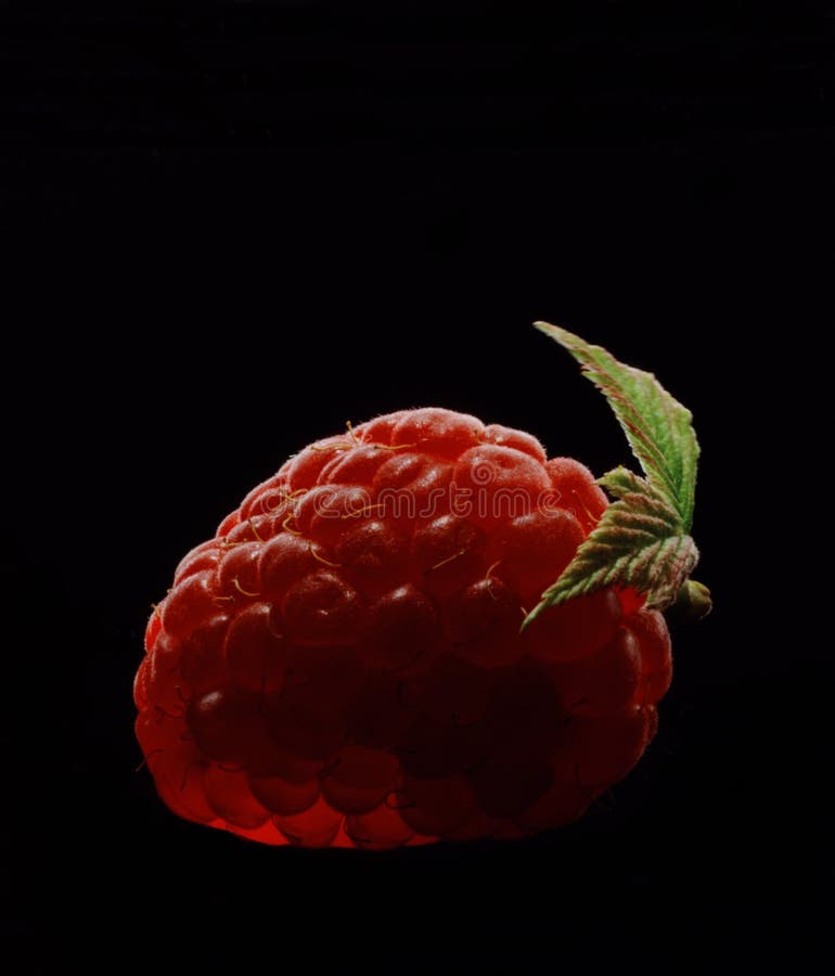 Rasberry