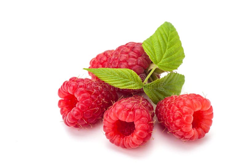 Rasberry