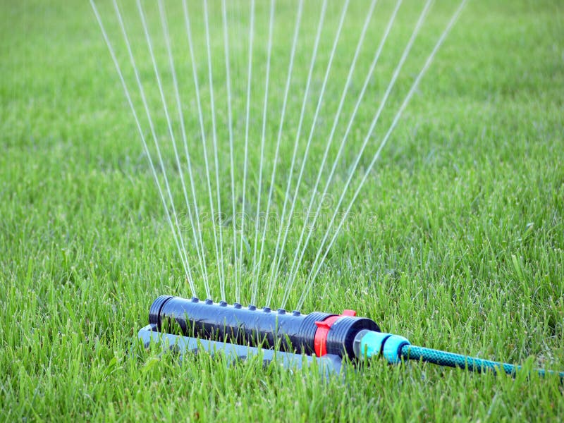 Rasenbewässerung stockbild. Bild von feld, rasen, masse 25733755