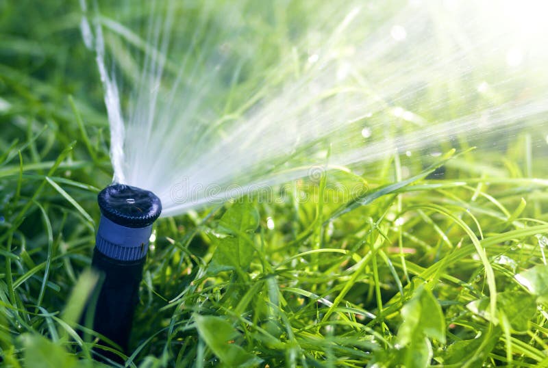 Sprinkleranlage Des Wassers Im Garten Stockbild Bild Von Outdoor