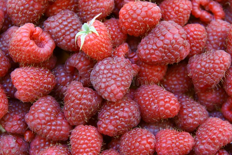 Raspberries