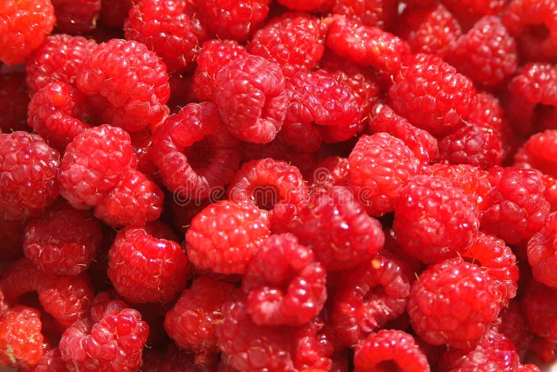 Raspberries