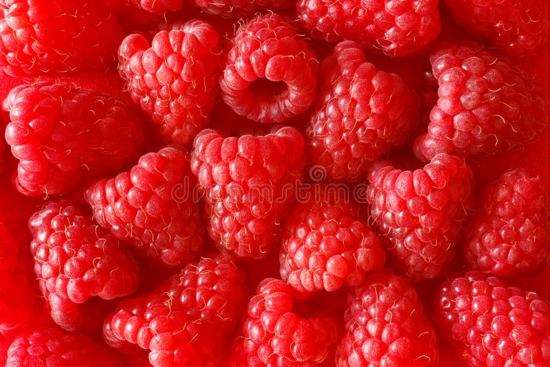 Raspberries background texture raspberry red royalty free stock image Raspberries background texture raspberry red royalty free stock image