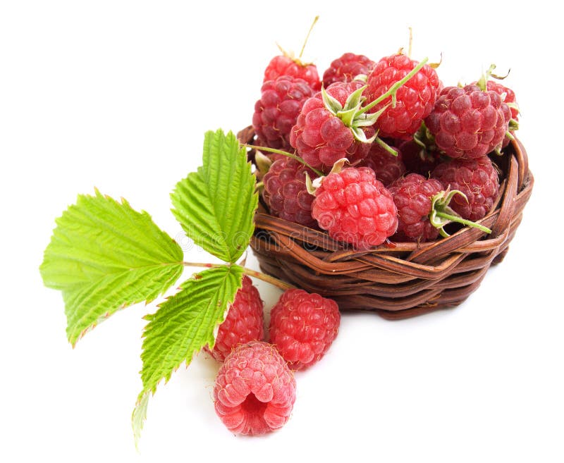 Raspberries in the basket