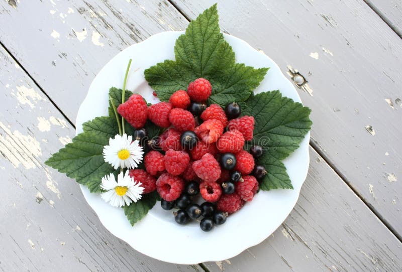 Raspberries and Black Currants on a White Dish