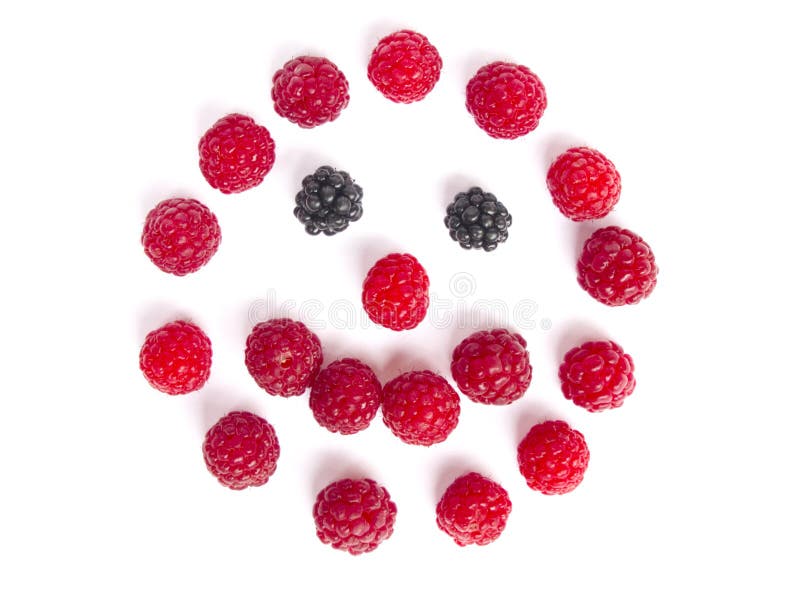 Raspberries and Blackberries Stock Photo Image of berry, health 16001556