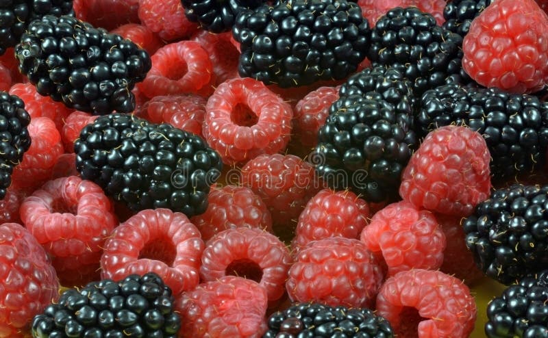 Raspberries and Blackberries